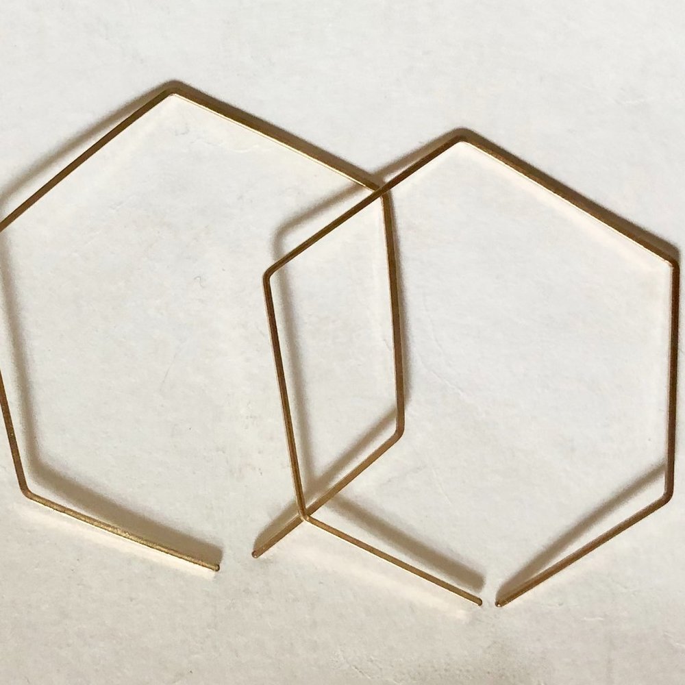 NWOT Gold Filled Hexagon Earrings